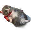 ❤️ Эмодзи «Popipopipu» для Telegram