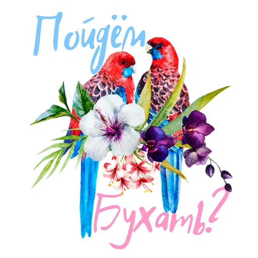 🦜 Стикер «Флекс папуги» для Telegram