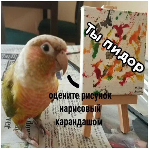 🖼 Стикер «Флекс папуги» для Telegram