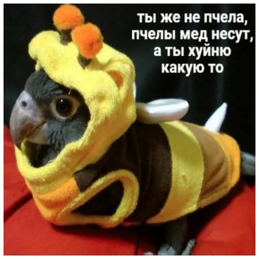 🐝 Стикер «Флекс папуги» для Telegram