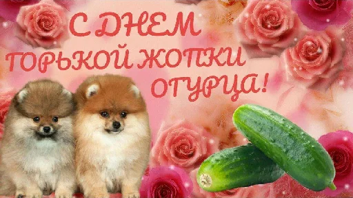 🥒 Стикер «уебанские открытки» для Telegram