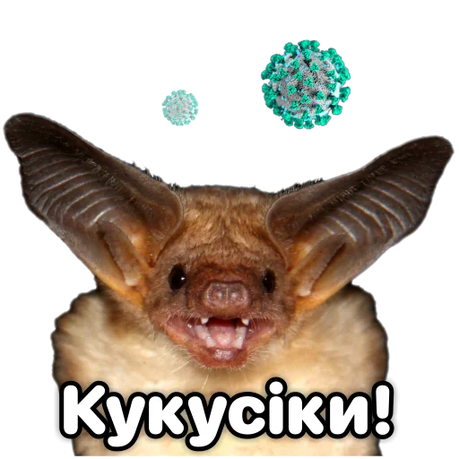👋 Стикер «Поторочений кажан» для Telegram