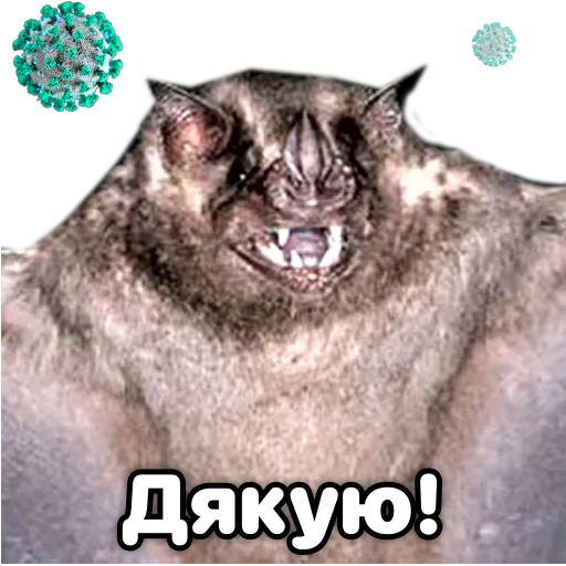 🤗 Стикер «Поторочений кажан» для Telegram