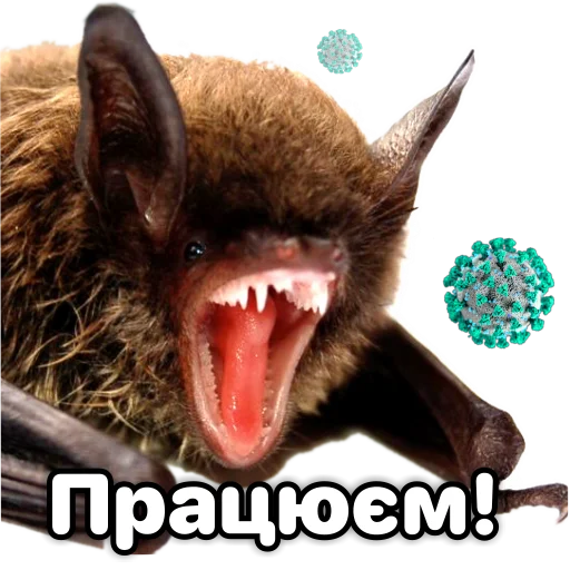 👨‍🏭 Стикер «Поторочений кажан» для Telegram
