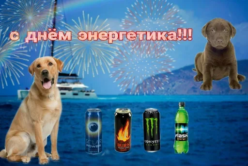 😋 Стикер «Поздравляю с Днём» для Telegram