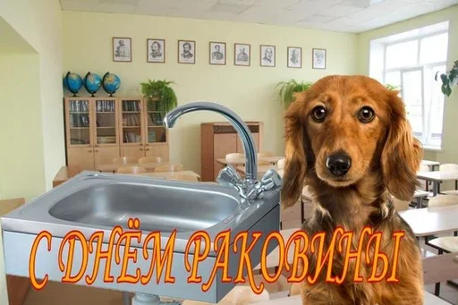 🧐 Стикер «Поздравляю с Днём» для Telegram