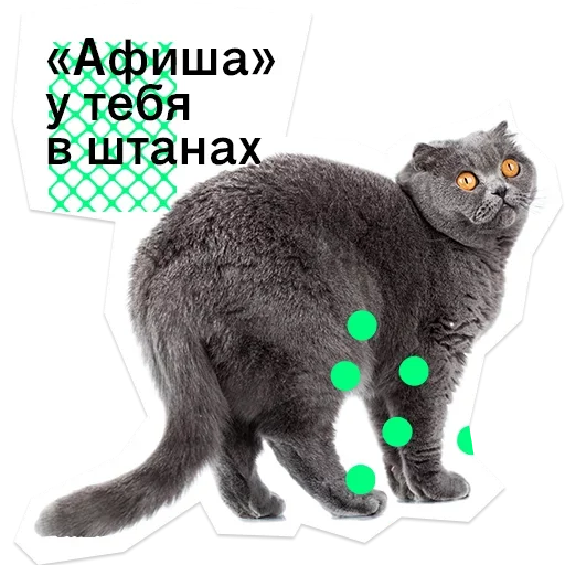 Стикерпак Pose для Telegram — скачать