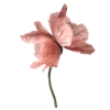 🌸 Эмодзи «Prelestno» для Telegram