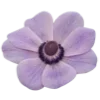 🌺 Эмодзи «Prelestno» для Telegram