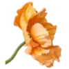 🌸 Эмодзи «Prelestno» для Telegram