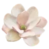 🌸 Эмодзи «Prelestno» для Telegram
