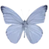 🦋 Эмодзи «Prelestno» для Telegram