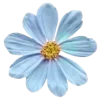 🌸 Эмодзи «Prelestno» для Telegram