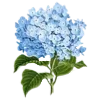 🌿 Эмодзи «Prelestno» для Telegram