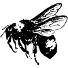 🤩 Эмодзи «больше фоновых» для Telegram