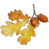 🤩 Эмодзи «Pretty Bows» для Telegram