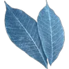 🤩 Эмодзи «Pretty Bows» для Telegram