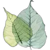 🤩 Эмодзи «Pretty Bows» для Telegram