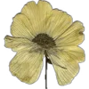 🤩 Эмодзи «Pretty Bows» для Telegram