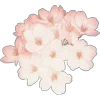 🤩 Эмодзи «Pretty Bows» для Telegram