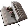🤩 Эмодзи «Pretty Bows» для Telegram