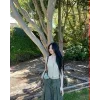 🤩 Эмодзи «Soo» для Telegram