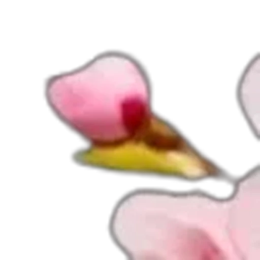 🌟 Эмодзи «prem d 78c 8» для Telegram