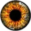 🤩 Эмодзи «👁 глаза» для Telegram