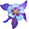 ♾ Эмодзи «Geimvera Ilmur» для Telegram