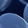♾ Эмодзи «Geimvera Ilmur» для Telegram