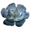 ♾ Эмодзи «Geimvera Ilmur» для Telegram