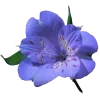 ♾ Эмодзи «Geimvera Ilmur» для Telegram