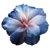 ♾ Эмодзи «Geimvera Ilmur» для Telegram