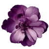 ♾ Эмодзи «Geimvera Ilmur» для Telegram