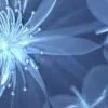 ♾ Эмодзи «Geimvera Ilmur» для Telegram