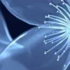 ♾ Эмодзи «Geimvera Ilmur» для Telegram