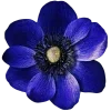 ♾ Эмодзи «Geimvera Ilmur» для Telegram