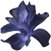 ♾ Эмодзи «Geimvera Ilmur» для Telegram