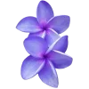 ♾ Эмодзи «Geimvera Ilmur» для Telegram