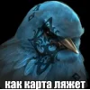 🤩 Эмодзи «Birds Memes» для Telegram
