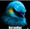 🤩 Эмодзи «Birds Memes» для Telegram