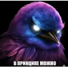 🤩 Эмодзи «Birds Memes» для Telegram