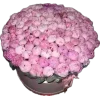 🤩 Эмодзи «Pink Black» для Telegram