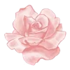 🌸 Эмодзи «Pink Black» для Telegram