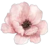💐 Эмодзи «Pink Black» для Telegram