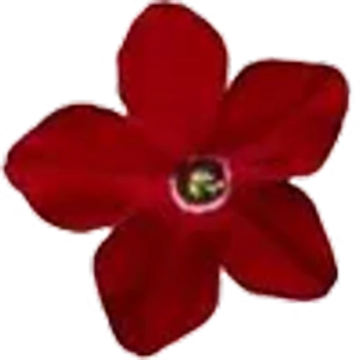🌺 Эмодзи «pretty» для Telegram