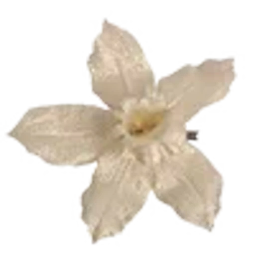 🌻 Эмодзи «pretty» для Telegram