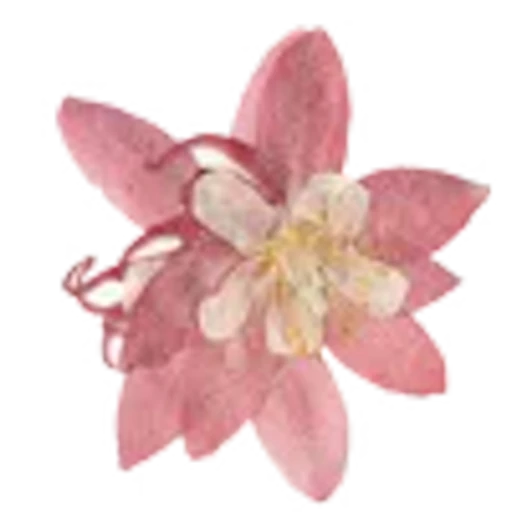 🥀 Эмодзи «pretty» для Telegram