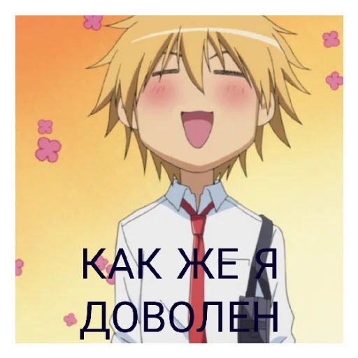 😊 Стикер «ПРЕЗИДЕНТ СТУДСОВЕТА ГОРНИЧНАЯ.» для Telegram