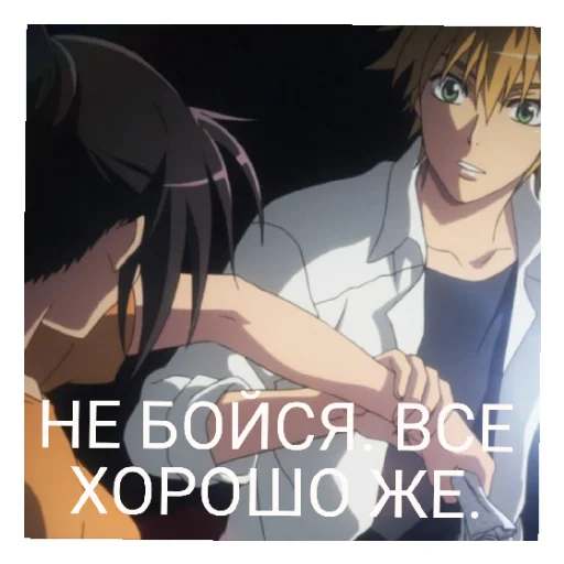 🍵 Стикер «ПРЕЗИДЕНТ СТУДСОВЕТА ГОРНИЧНАЯ.» для Telegram